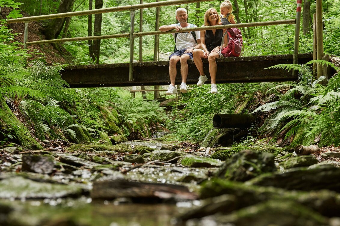 Hiking Route Adventure hill-circuit with bear pit, Friedberg - Touren-Impression #1 | © Oststeiermark Tourismus