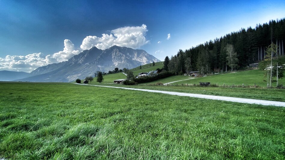 Hiking Route Buchmannlehen - Touren-Impression #2.1 | © Clemens Egger