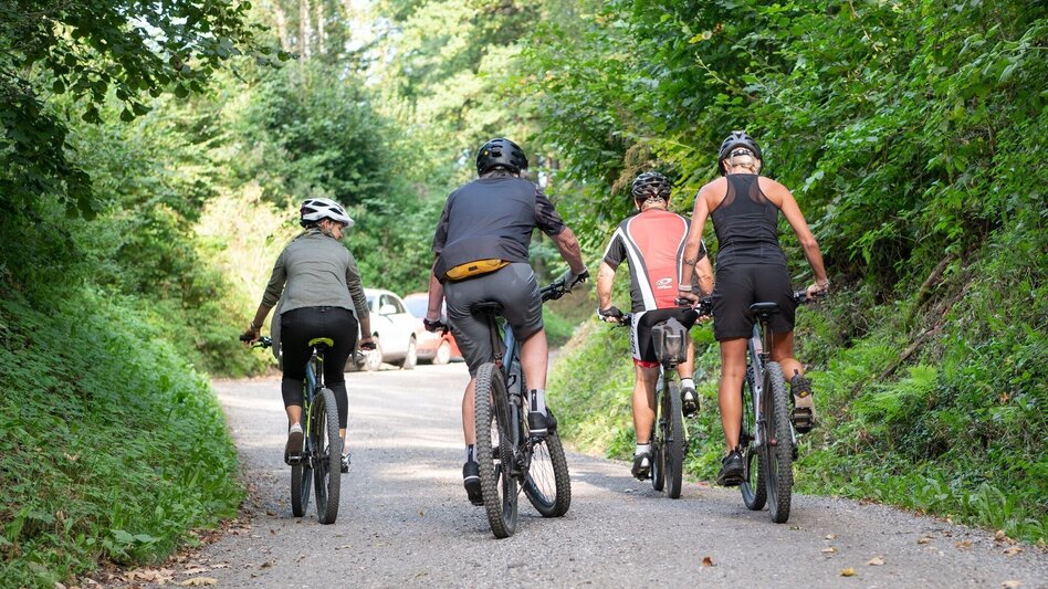 Mountainbike Vom Bahnweg auf die Schweizeben - Touren-Impression #2.4 | © Hochsteiermark