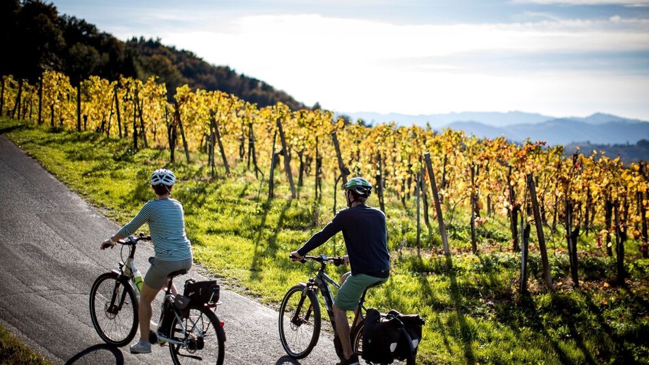 Radfahren Weinstraßen Tour Variante Kranachberg-Sernauberg - Touren-Impression #2.1 | © TVB Südsteiermark/ Steiermark Tourismus Tom Lamm
