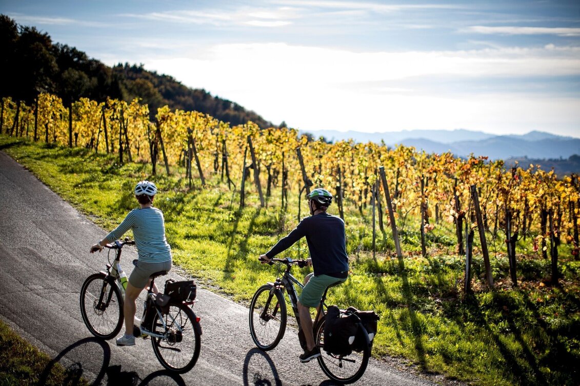 Radfahren Weinstraßen Tour Variante Kranachberg-Sernauberg - Touren-Impression #1 | © TVB Südsteiermark/ Steiermark Tourismus Tom Lamm