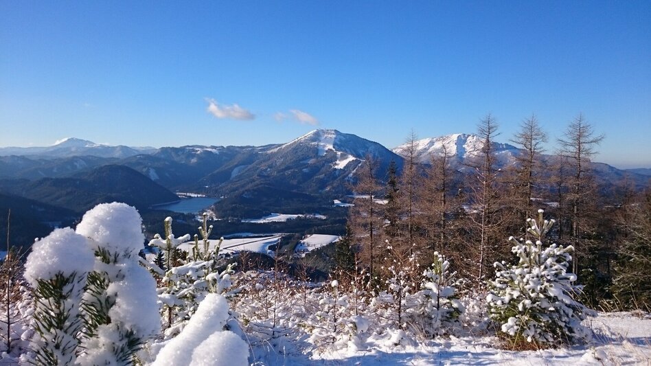 Schneeschuhwandern Schneeschuhwanderung auf die Mariazeller Bürgeralpe über den Habertheuersattel - Touren-Impression #2.1 | © TV Hochsteiermark