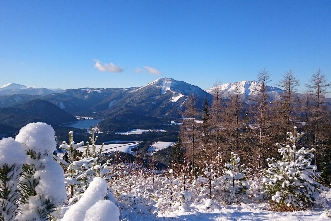 Schneeschuhwandern Schneeschuhwanderung auf die Mariazeller Bürgeralpe über den Habertheuersattel - Touren-Impression #1 | © TV Hochsteiermark