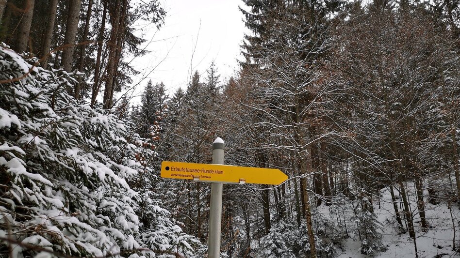 Winterwandern Erlaufstauseerunde klein - Touren-Impression #2.3 | © TV Hochsteiermark