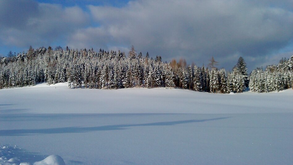 Winterwandern Erlaufstauseerunde klein - Touren-Impression #2.8 | © TV Hochsteiermark