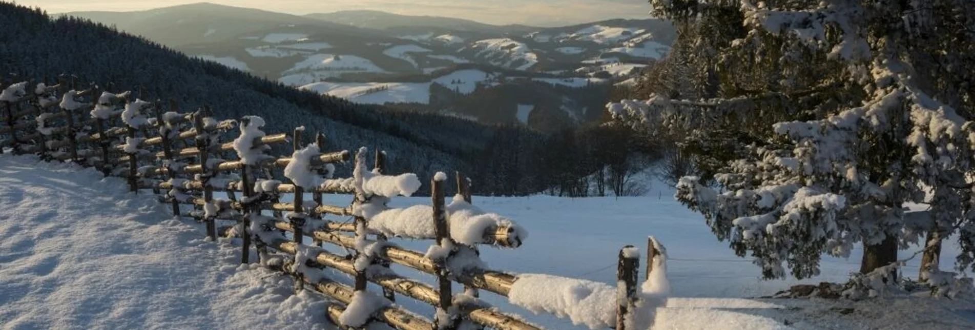 Winterwandern Winterwanderweg vom Orthofer zum Berger - Touren-Impression #1 | © Gasthof Orthofer