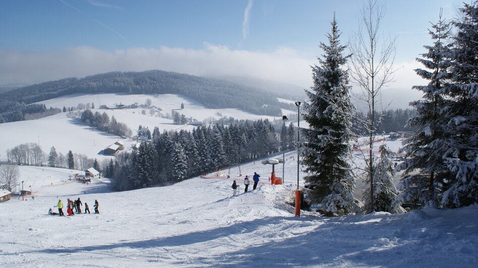 Winterwandern Winterwanderweg vom Orthofer zum Berger, St. Jakob im Walde - Touren-Impression #2.5 | © Familienschiberg St. Jakob im Walde
