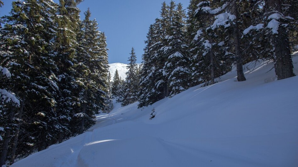 Snowshoe Walking Snowshoe hiking tour Michelirlingalm - Touren-Impression #2.1 | © Erlebnisregion Schladming-Dachstein