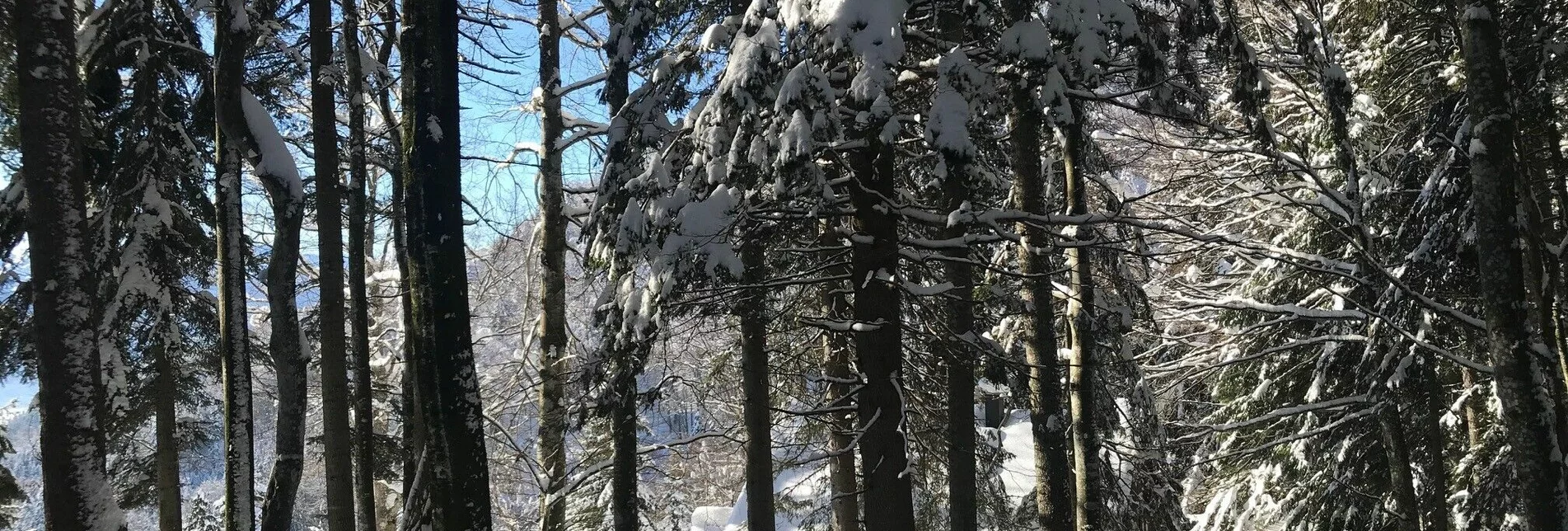 Winterwandern Winterwanderung zur Grimminghütte - Touren-Impression #1 | © Erlebnisregion Schladming-Dachstein
