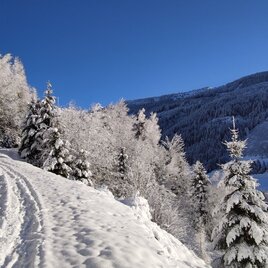 Winterlicher kann es kaum werden in Donnersbachwald | © Erlebnisregion Schladming-Dachstein