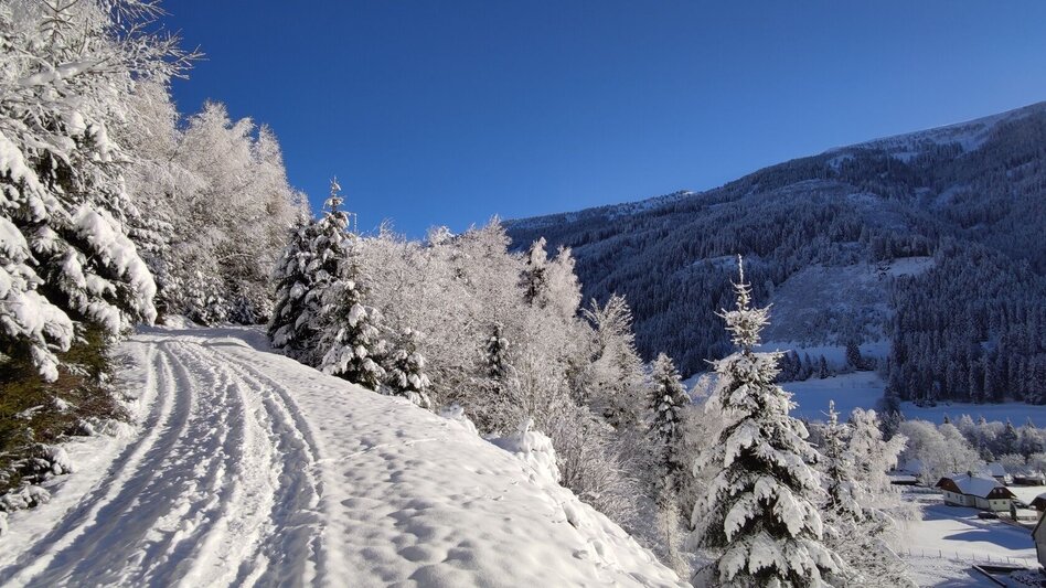 Winterwandern Winterwanderung Vorderwald Runde - Touren-Impression #2.1 | © Erlebnisregion Schladming-Dachstein