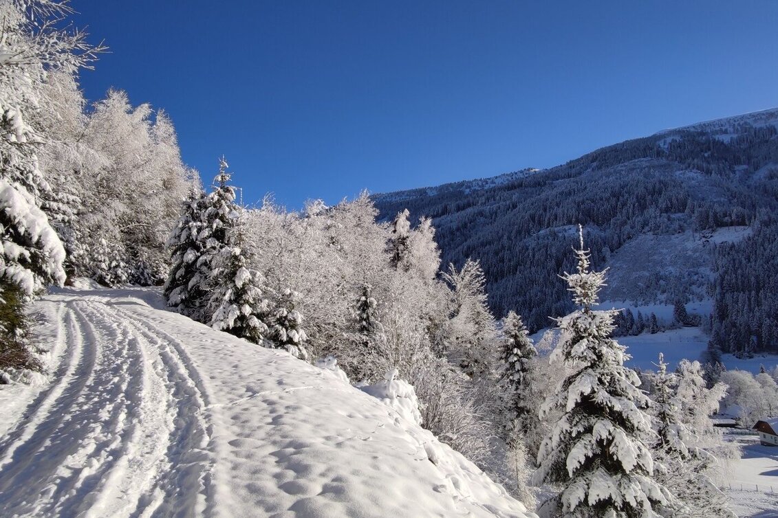 Winterwandern Winterwanderung Vorderwald Runde - Touren-Impression #1 | © Erlebnisregion Schladming-Dachstein