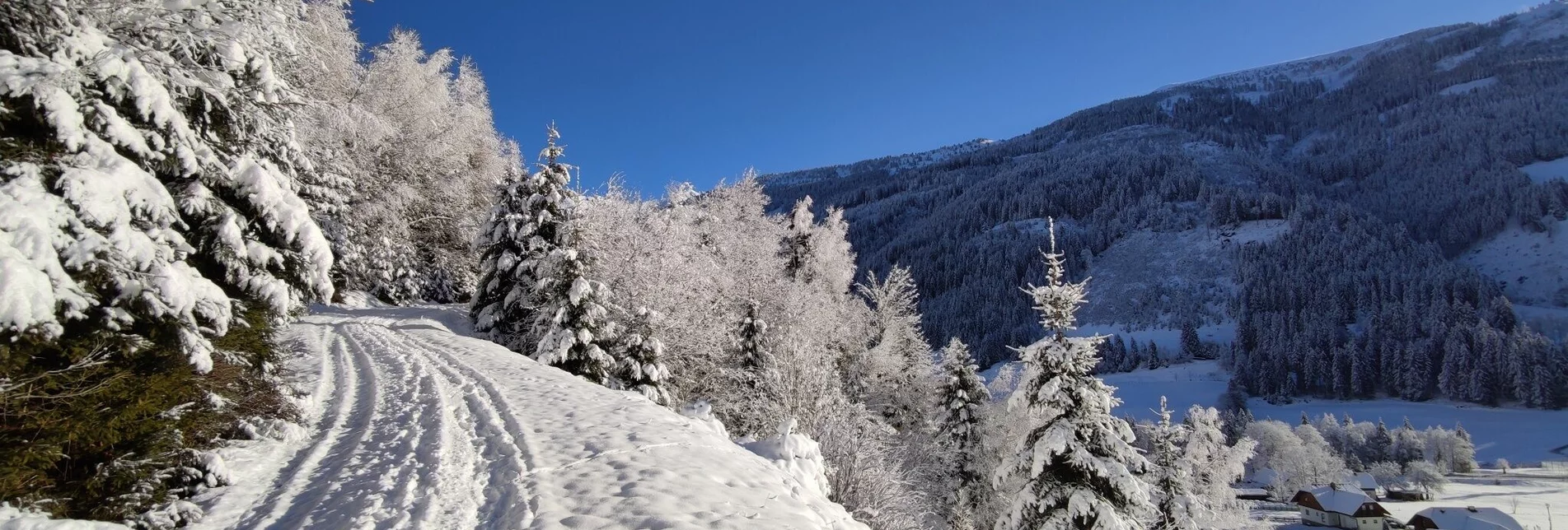 Winterwandern Winterwanderung Vorderwald Runde - Touren-Impression #1 | © Erlebnisregion Schladming-Dachstein