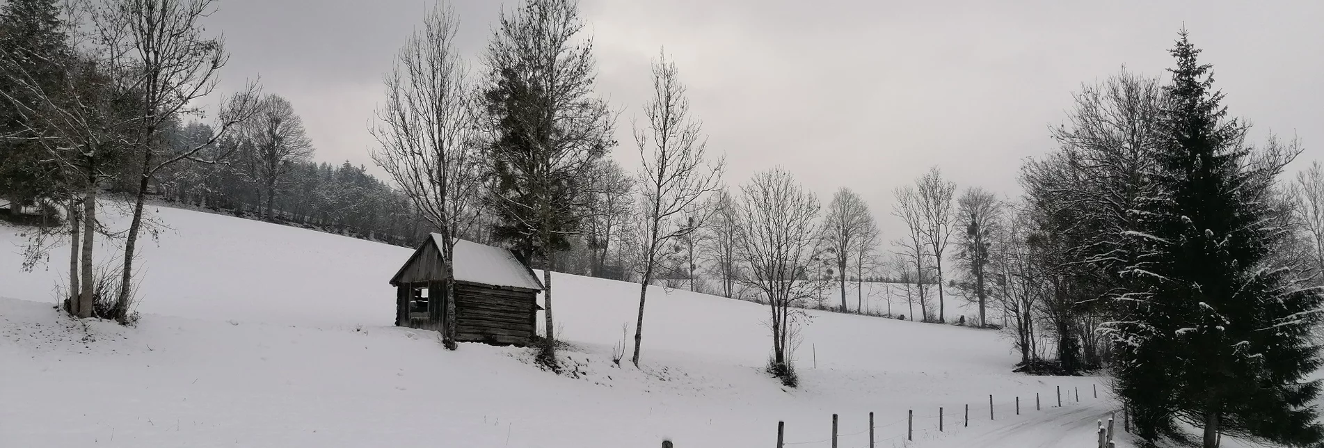 Winterwandern Raumbergweg - Touren-Impression #1 | © Erlebnisregion Schladming-Dachstein