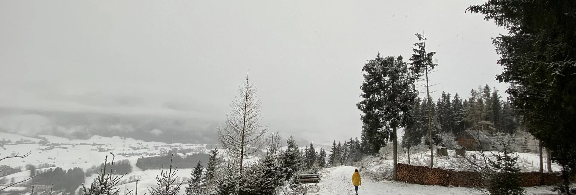 Winterwandern Winterwanderung zum Kulmgipfel - Touren-Impression #1 | © Erlebnisregion Schladming-Dachstein