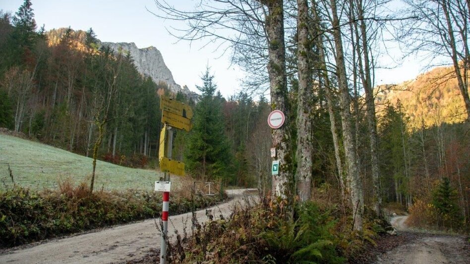 Bergtour Kleiner Buchstein vom Hocherb (Mühlbach) - Eisenzieher - Touren-Impression #2.7 | © TV Gesäuse