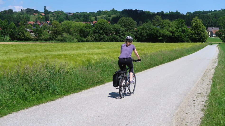 Radfahren Flair des Südens 731 - Touren-Impression #2.2 | © Region Graz
