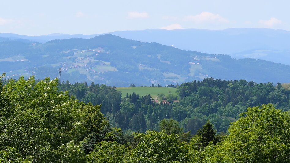 Radfahren Flair des Südens 731 - Touren-Impression #2.5 | © Region Graz