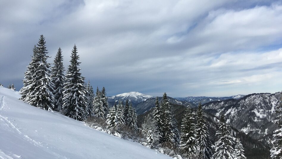 Skitour Skitour auf die Wetterin - Touren-Impression #2.4 | © TV Hochsteiermark