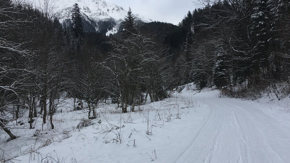 Ski Touring Ski tour to the Hohe Veitsch - Touren-Impression #2.6 | © TV Hochsteiermark