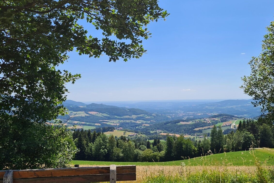 Hiking Route Circumnavigation of the Pöllau Valley Nature Park, Pöllau - Touren-Impression #1 | © Oststeiermark Tourismus