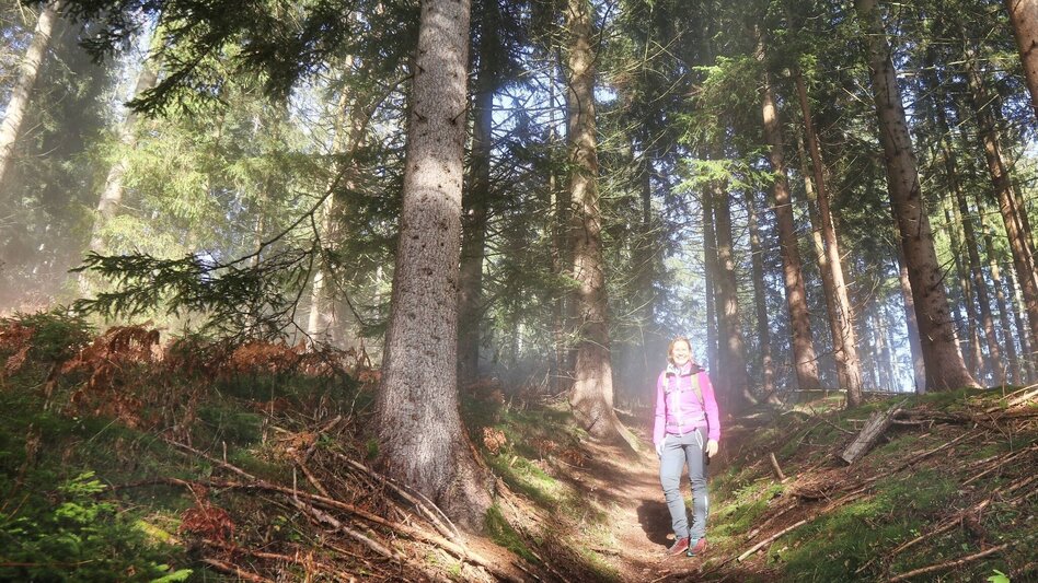 Hiking Route Hammerleck via lookout point - Touren-Impression #2.2 | © Weges OG