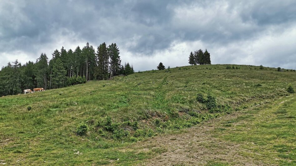Hiking Route Hammerleck via lookout point - Touren-Impression #2.6 | © Weges OG