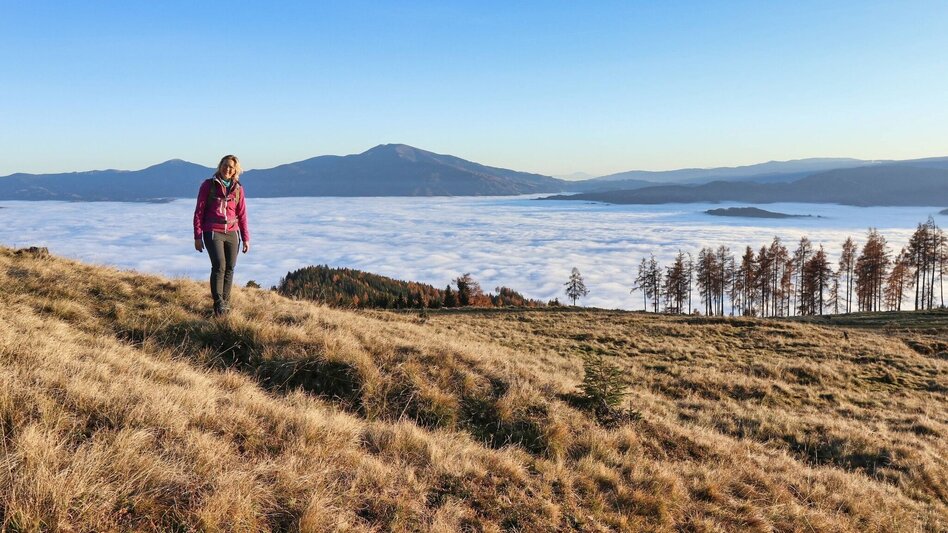 Hiking Route Hammerleck via lookout point - Touren-Impression #2.7 | © Weges OG