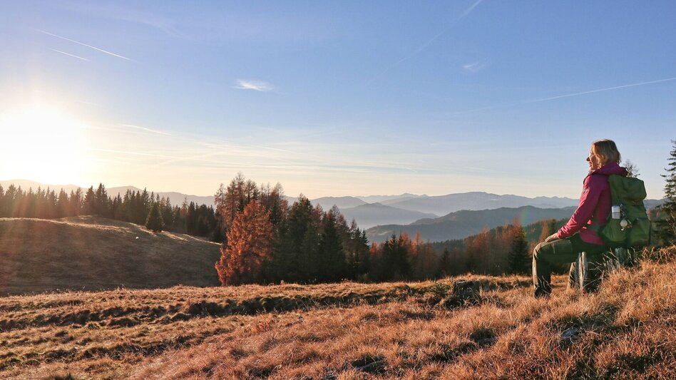 Hiking Route Hammerleck via lookout point - Touren-Impression #2.8 | © Weges OG