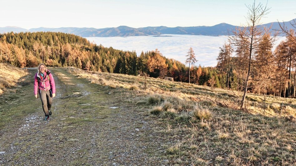 Hiking Route Hammerleck via lookout point - Touren-Impression #2.9 | © Weges OG