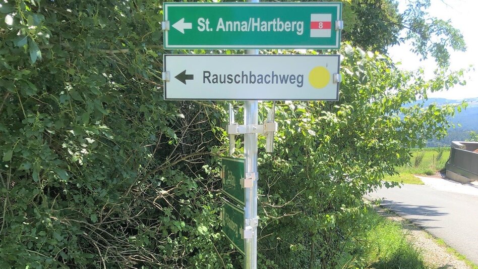 Hiking Route Hike St. Anna, RETTER Pöllauberg - Touren-Impression #2.2 | © Oststeiermark Tourismus
