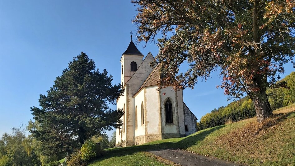 Hiking Route Hike St. Anna, RETTER Pöllauberg - Touren-Impression #2.4 | © Oststeiermark Tourismus