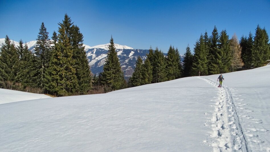 Winterwandern Großer Schober - Touren-Impression #2.3 | © Weges OG