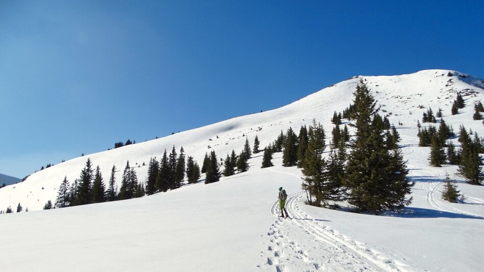 Winterwandern Großer Schober - Touren-Impression #2.2 | © Weges OG