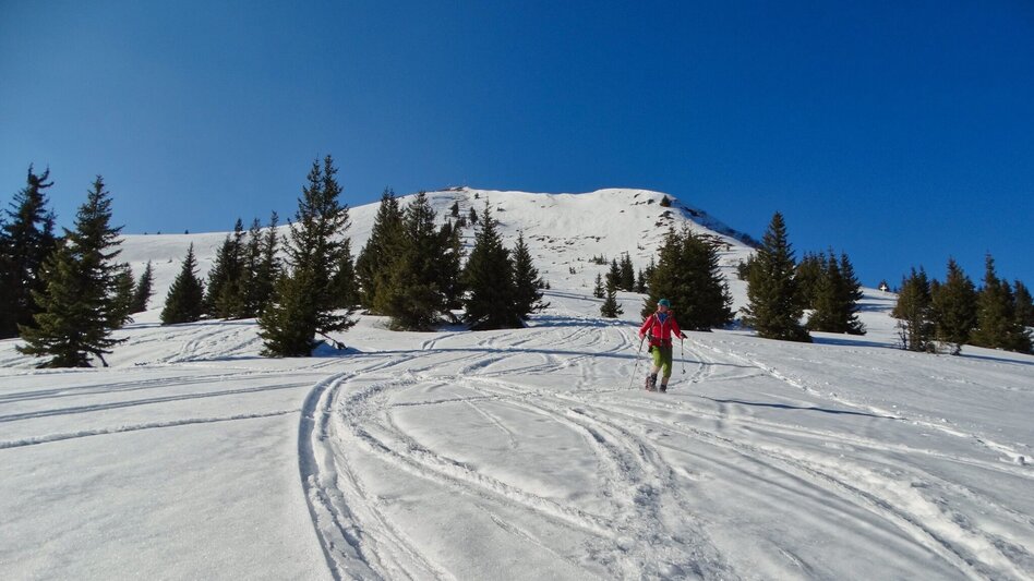 Winterwandern Großer Schober - Touren-Impression #2.11 | © Weges OG