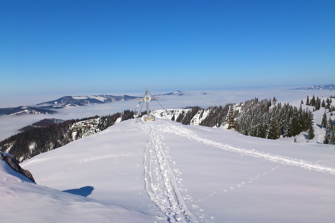 Skitour Tirolerkogel von Annaberg über Ebenbaueralm - Touren-Impression #1 | © TV Hochsteiermark