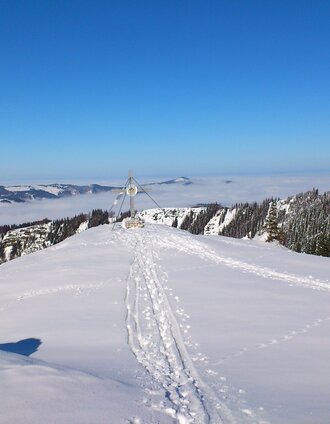 Gipfelkreuz Tirolerkogel mit Aussicht | Brigitte Digruber | © TV Hochsteiermark