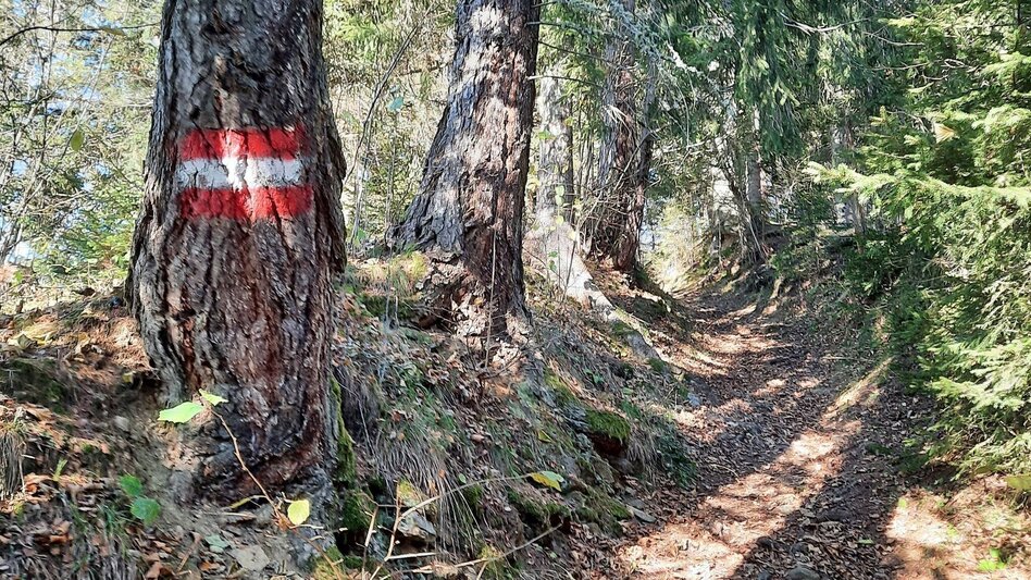 Hiking Route Hammerleck über Gstättner - Touren-Impression #2.3 | © Weges OG