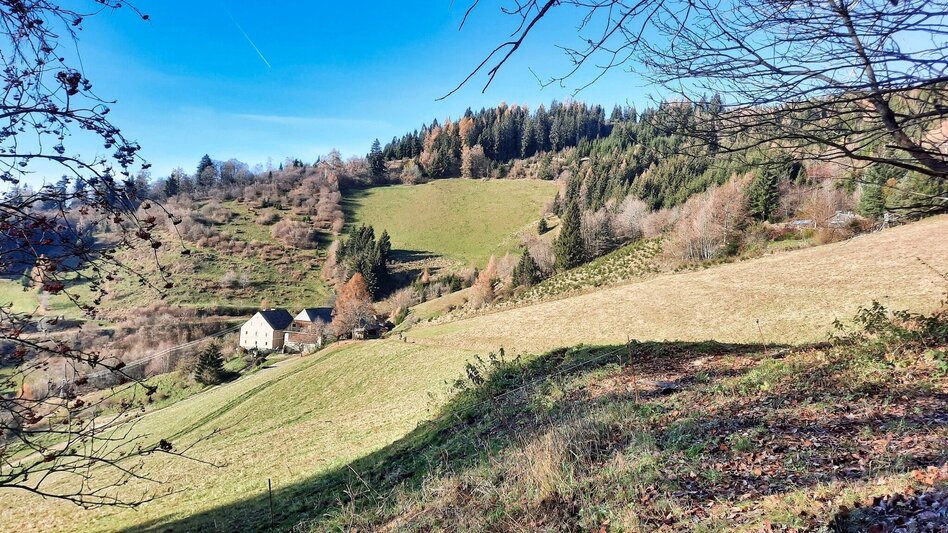 Hiking Route Hammerleck über Gstättner - Touren-Impression #2.4 | © Weges OG