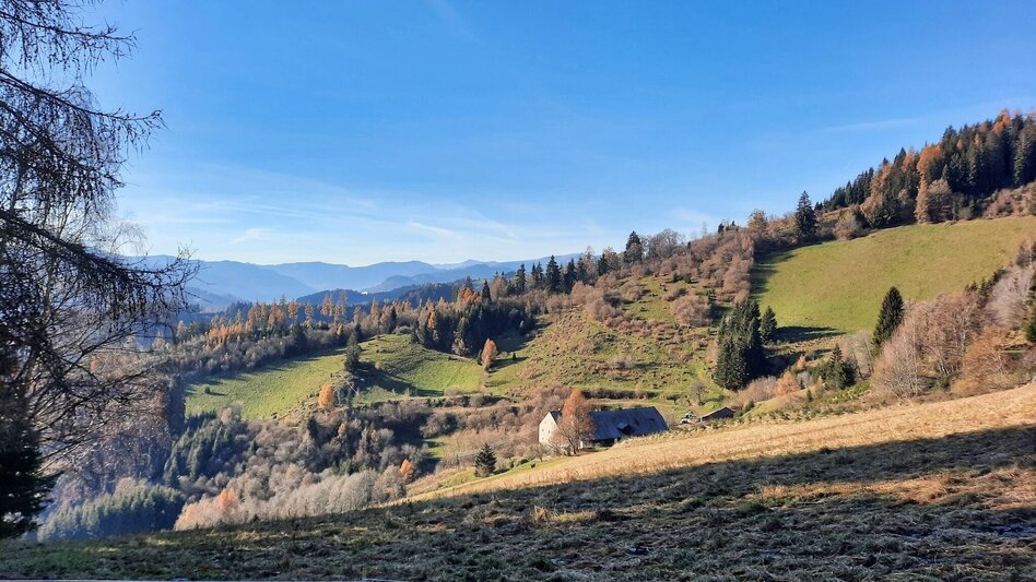 Hiking Route Hammerleck über Gstättner - Touren-Impression #2.5 | © Weges OG