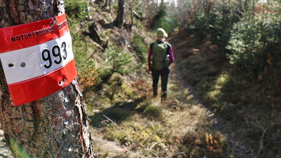 Hiking Route Hammerleck über Gstättner - Touren-Impression #2.8 | © Weges OG