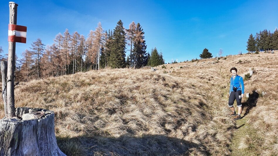Hiking Route Hammerleck über Gstättner - Touren-Impression #2.9 | © Weges OG