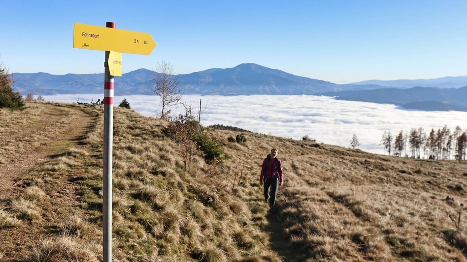 Hiking Route Hammerleck über Gstättner - Touren-Impression #2.10 | © Weges OG