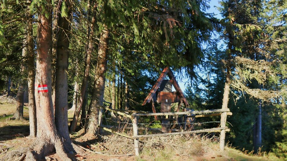 Hiking Route Hammerleck über Gstättner - Touren-Impression #2.11 | © Weges OG