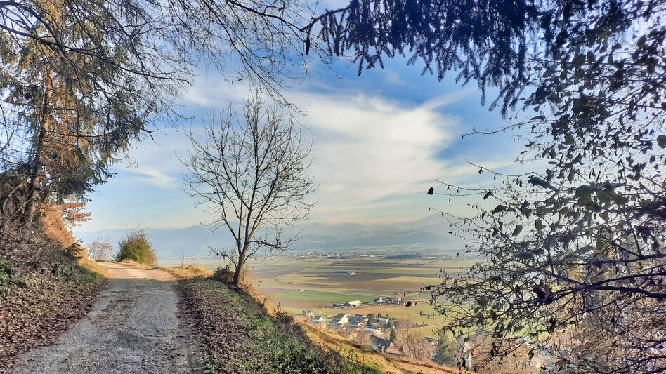 Wanderung Panoramarunde Höhn - Touren-Impression #2.3 | © Weges OG
