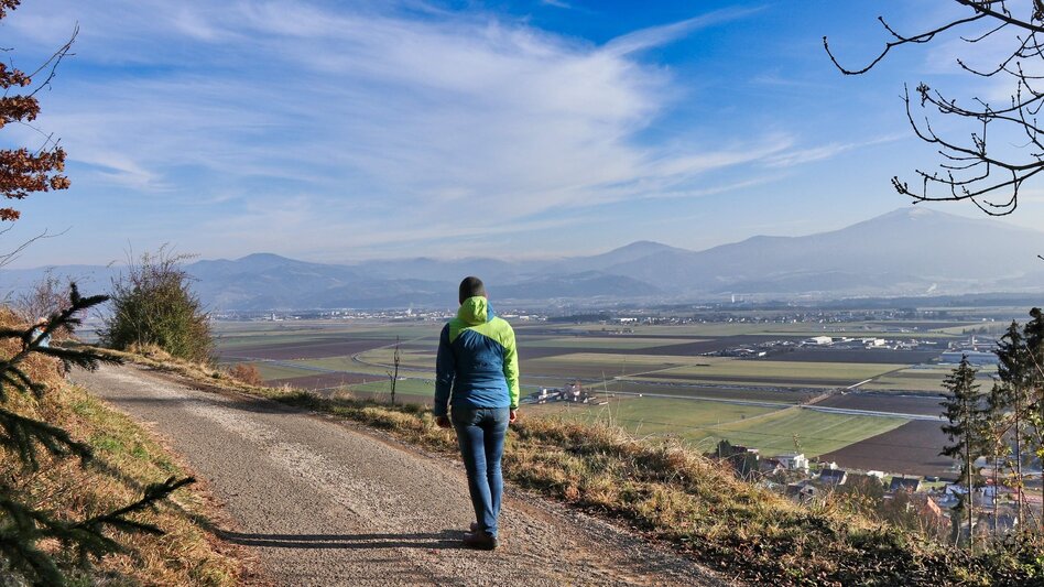 Wanderung Panoramarunde Höhn - Touren-Impression #2.4 | © Weges OG