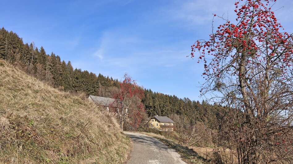 Wanderung Panoramarunde Höhn - Touren-Impression #2.5 | © Weges OG
