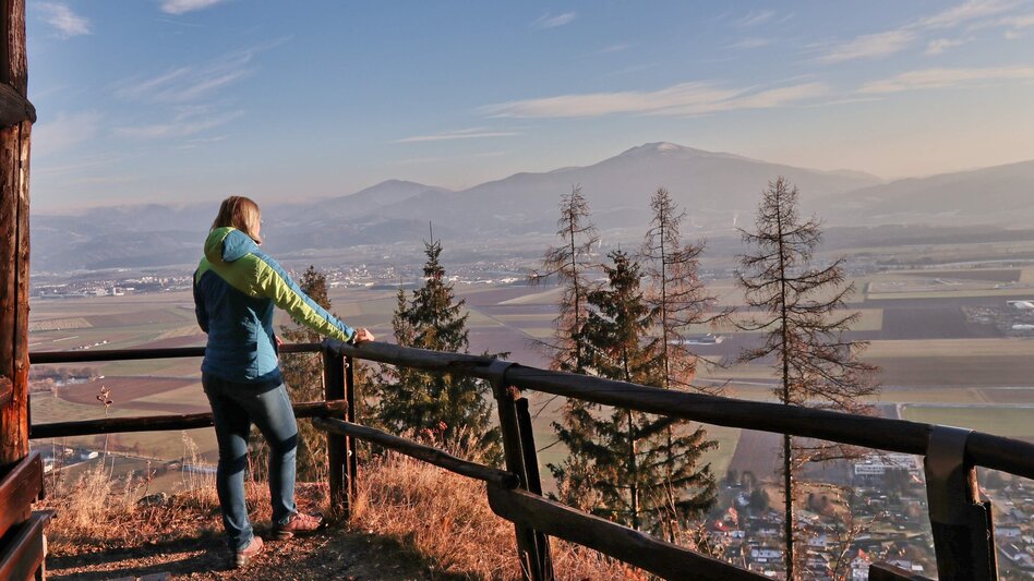 Wanderung Panoramarunde Höhn - Touren-Impression #2.9 | © Weges OG