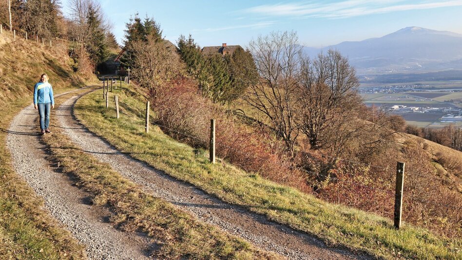 Wanderung Panoramarunde Höhn - Touren-Impression #2.11 | © Weges OG