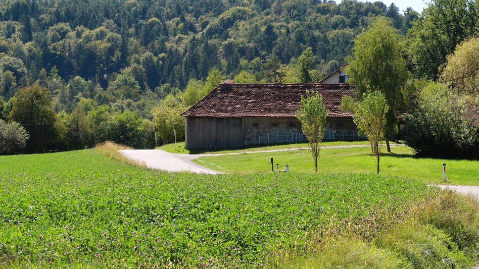 Cycling Tasty Food Tour 734 - Touren-Impression #2.5 | © Region Graz